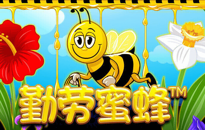 BLR557:COM-WWW:BLR557:COM
