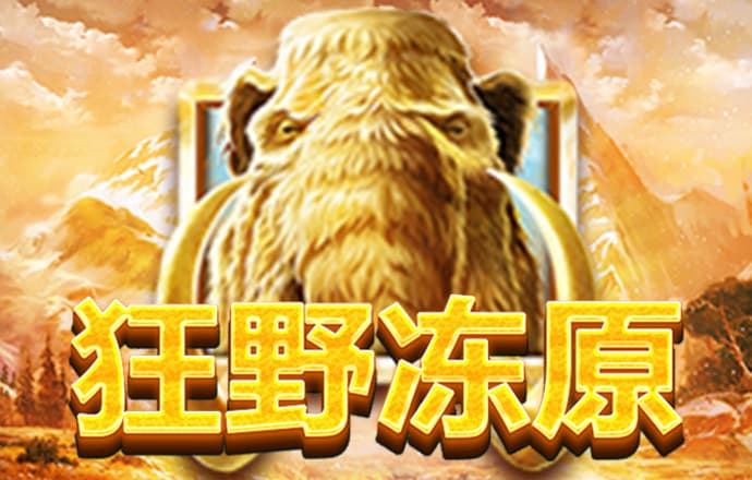 HG6533:COM-WWW:HG6533:COM